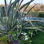Bed & Breakfast Tranberg