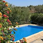 Tranberg Bed & Breakfast Ferreiras