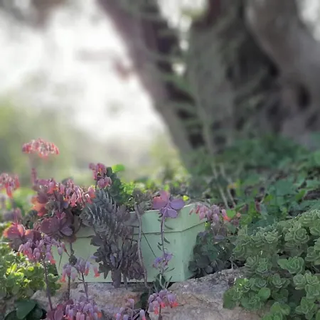 Tranberg 住宿加早餐酒店 4*