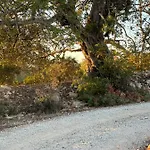 فندق مبيت وإفطار Tranberg
