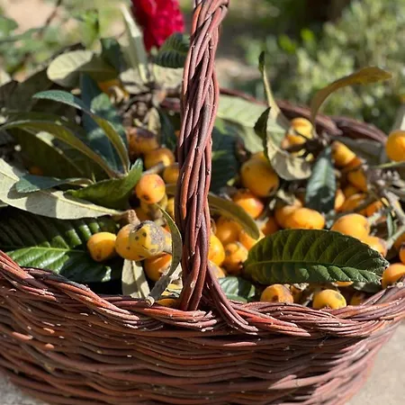 Tranberg Couette-café