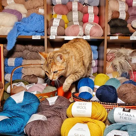 Tranberg Couette-café Ferreiras