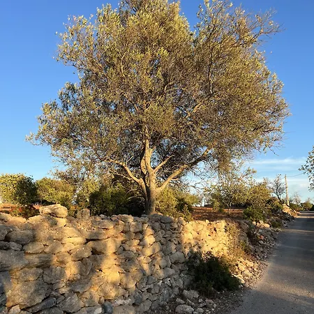 Couette-café Tranberg