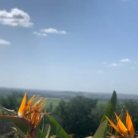 Tranberg Oda ve Kahvaltı