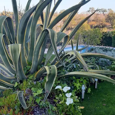 Oda ve Kahvaltı Tranberg