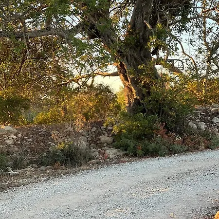 Oda ve Kahvaltı Tranberg